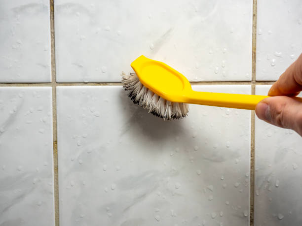 Best Certified Mold Removal  in Emerald Lake Hills, CA