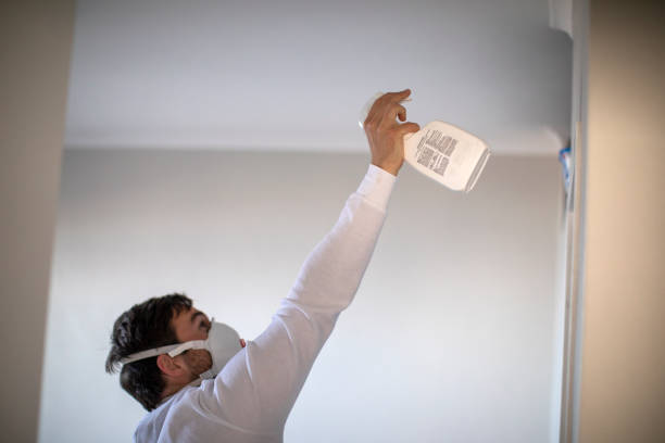 Best Attic Mold Removal  in Emerald Lake Hills, CA